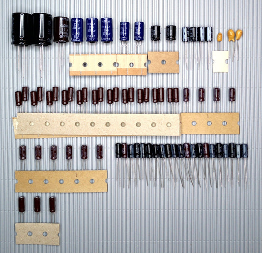 ROLAND RE-501 SRE 555 Elektrolyt-Kondensator-Set QUALITÄT WÄHLBAR recap repair